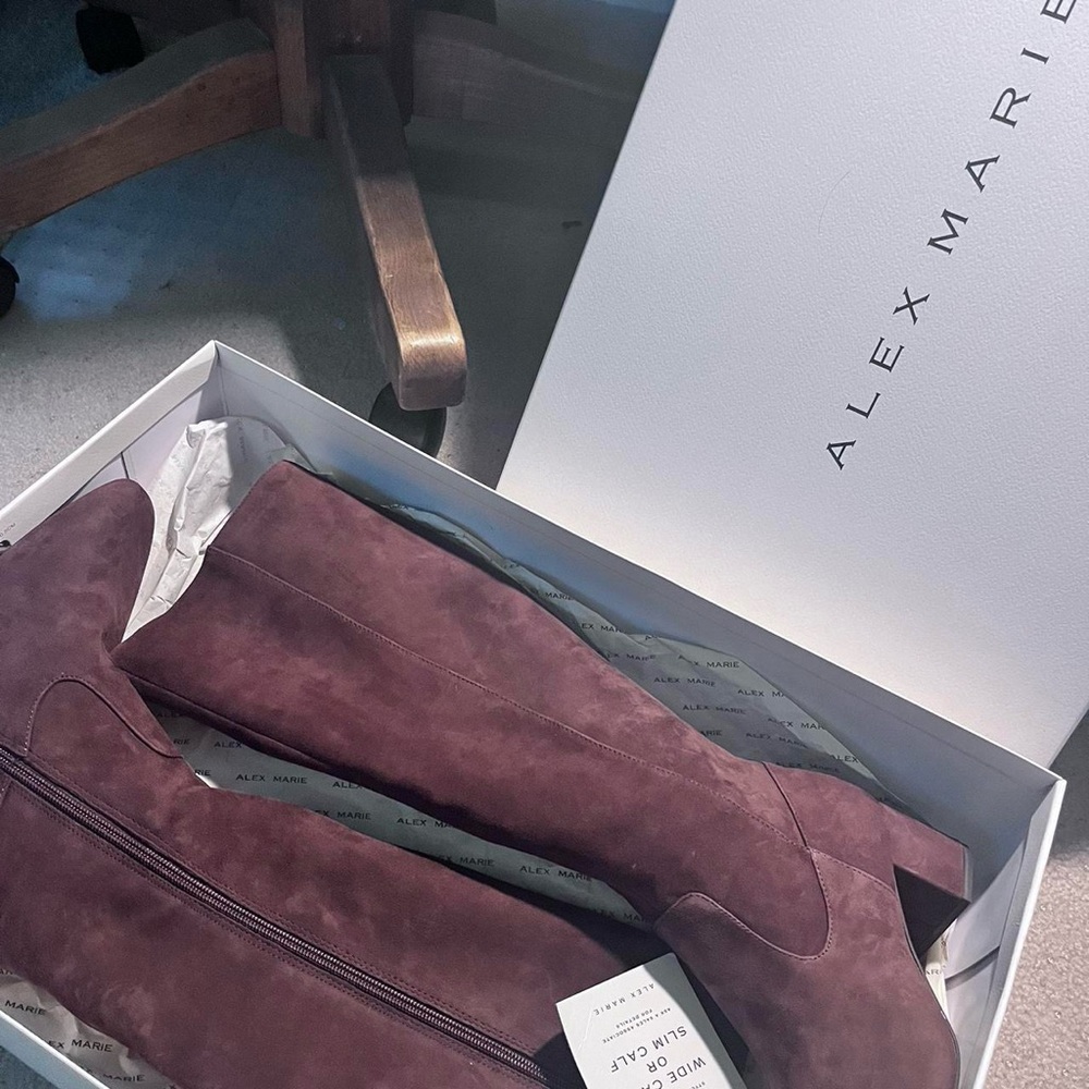 Alex Marie Burgundy Suede Knee-High Boots